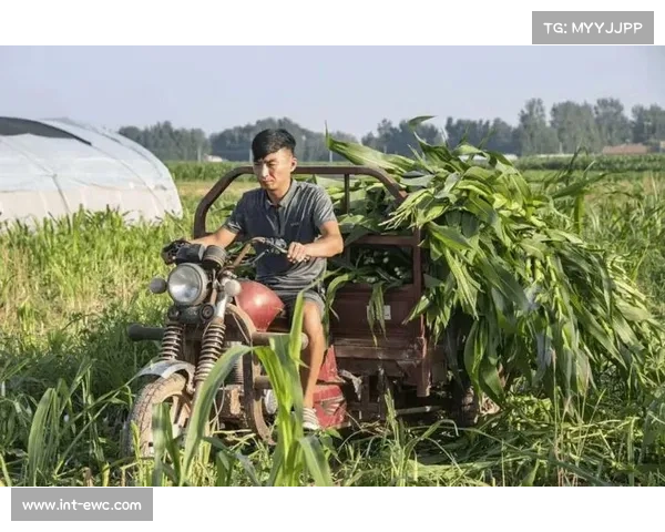 草原村排催生回流效应,外出青年返乡参与乡村振兴