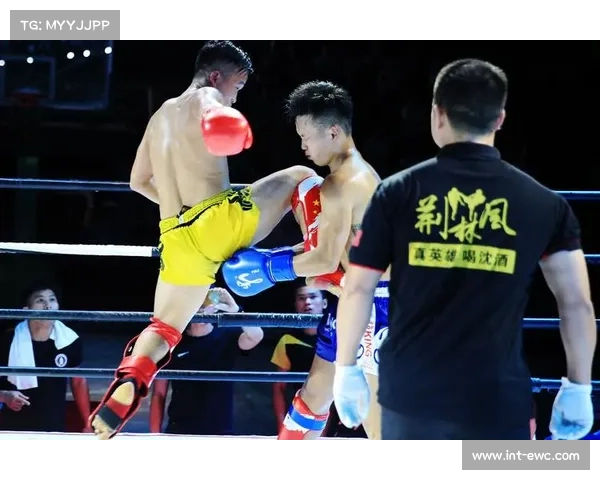 呼和浩特赛区自由搏击联合主赛:中日对决成当晚关注焦点